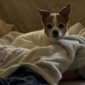 Meet your Posher, Cathy